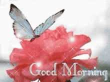 Good Morning Flower GIF - Good Morning Flower Butterflies GIFs