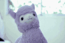 Llama Rickroll GIF - Llama Rickroll Llamatroll GIFs
