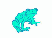 ruskidd art frog cool abstract