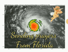 Florence Sending Prayers GIF - Florence Sending Prayers Florida GIFs