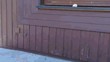 a young boy is running in front of a wooden wall .