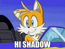 Hi Shadow GIF - Hi Shadow Tails GIFs