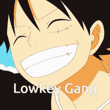one piece lowkey gang happy smile anime