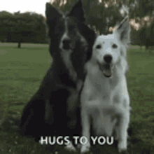 I Love You Dog GIF - I Love You Dog Hugs GIFs