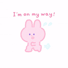 rabbit bunny pink cute i%27m on my way