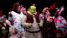 Shrek The Musical Esperanza GIF - Shrek The Musical Esperanza Wolf GIFs
