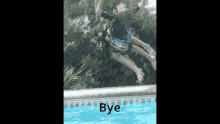a picture of a person jumping into a pool with the words bye below