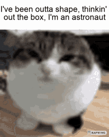 Ive Been Outta Shape Thinkin Out The Box Im An Astronaut Enemy GIF - Ive Been Outta Shape Thinkin Out The Box Im An Astronaut Enemy GIFs