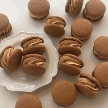 a white plate topped with a few brown cookies
