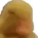 a close up of a person 's face with a yellow background .