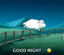 Counting Sheep Cant Sleep GIF - Counting Sheep Cant Sleep Insomnia GIFs