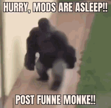 Mods Are Asleep Monke GIF