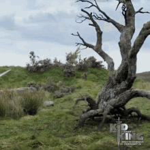 Trees High GIF - Trees High When The Weed Hits GIFs