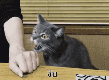 กัดแขน งับแขน แมว GIF - Biting Arm Bite Arm Cat GIFs