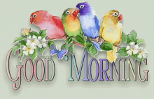 Good Morning Birds GIF - Good Morning Birds Pretty Birds GIFs