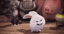 Bunny Poop GIF