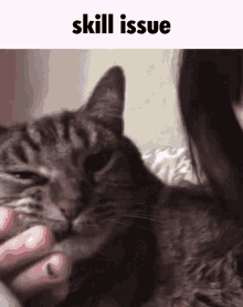 Randal Cat GIF - Randal Cat GIFs
