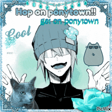 a picture of a boy with a cat and the words hop on ponytown on it