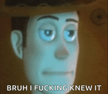 a blurry picture of woody from toy story with the caption bruh i fucking knew it