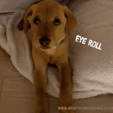 Mighty Lancer Games Puppy GIF - Mighty Lancer Games Puppy Eye Roll GIFs