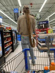 a man in a plaid shirt is pushing a shopping cart in a walmart