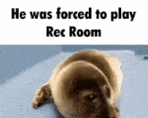He Was Forced To Play Rec Room GIF