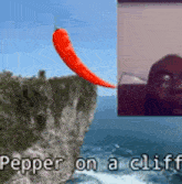 Pepper On A Cliff Meme GIF - Pepper On A Cliff Meme GIFs