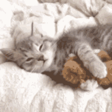 Kitty Sleepy Cat GIF - Kitty Sleepy Cat Sleepy GIFs