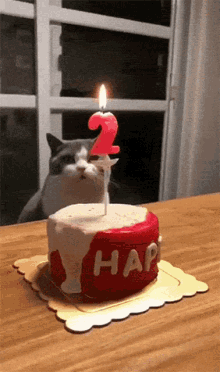 Happy Birthday Cake GIF - Happy Birthday Cake Two GIFs