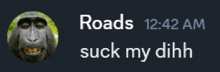 a picture of a monkey with the words roads 12:42 am suck my dihh