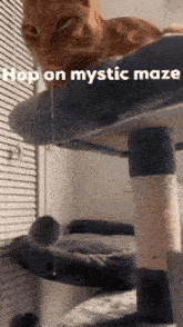 Mysticmaze Mystic Maze GIF - Mysticmaze Mystic Maze Roblox GIFs