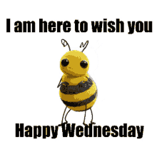 I Am Here To Wish You Happy Wednesday Bee GIF - I Am Here To Wish You Happy Wednesday Bee GIFs