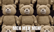 meh meh meh ted ted the bear