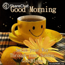 Good Morning Smile Your Way Through Your Sunday God Bless GIF - Good Morning Smile Your Way Through Your Sunday God Bless शुभ GIFs