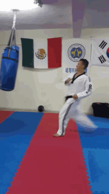 Tkd Taekwondo GIF - Tkd Taekwondo Kick GIFs