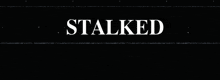 Stalked GIF - Stalked GIFs