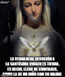 Santisima Virgen GIF - Santisima Virgen GIFs