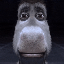 a close up of a cartoon donkey 's face with a dark background