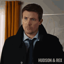 Stunned Charlie Hudson GIF - Stunned Charlie Hudson Hudson And Rex GIFs