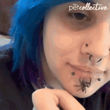 Spider In My Face GIF - Spider In My Face Straight Face GIFs