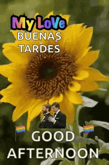 a couple of men standing next to a sunflower with the words " my love buenas tardes "