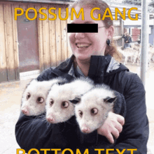 Possum Gang GIF - Possum Gang GIFs