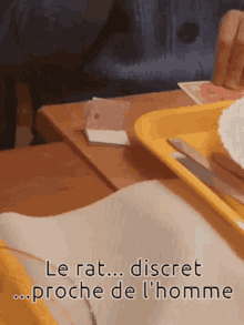 Le Rat Provence GIF - Le Rat Provence GIFs