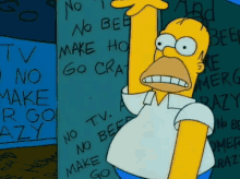Simpsons Homer Simpson GIF - Simpsons Homer Simpson GIFs