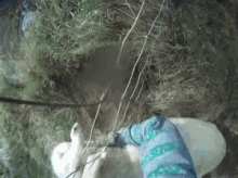 Lamb Fail GIF - Lamb Fail GIFs