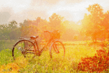 Bicicletta Dipinto Digitalmente GIF