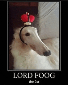 a poster of a dog wearing a crown with the words lord foog the 2st below it