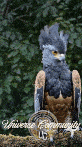 a bird is sitting on a branch with the words universe community written on the bottom