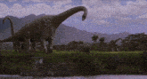 a group of dinosaurs are standing in a field near a river