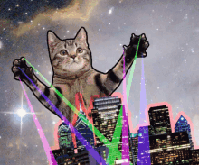 Psychedelic Cat GIF - Psychedelic Cat Conquers GIFs